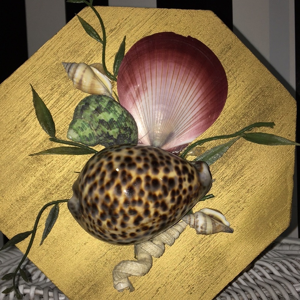 Octagon Shaped Wood Trinket Box With Real Shells on Top Hinged & Latch - Picture 3 of 14